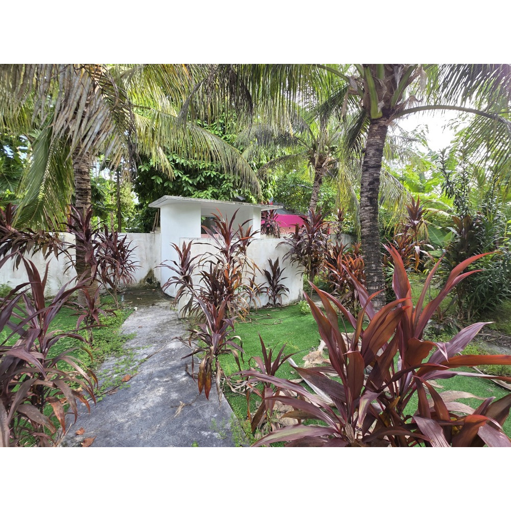 5 room guesthouse for lease — Alif Alif