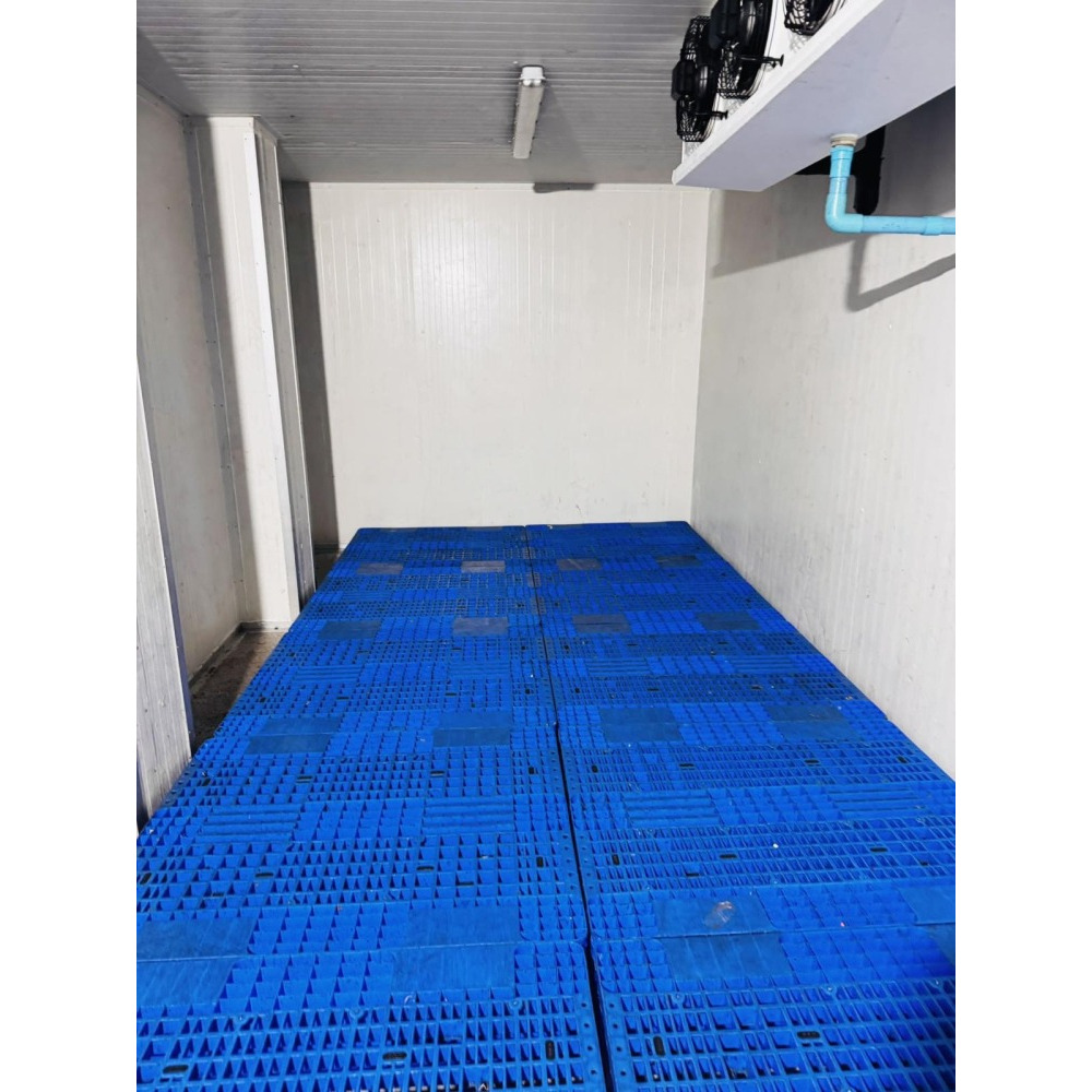 COLD STORAGE FACILITY FOR RENT MALE' CITY — Malé — Galolhu