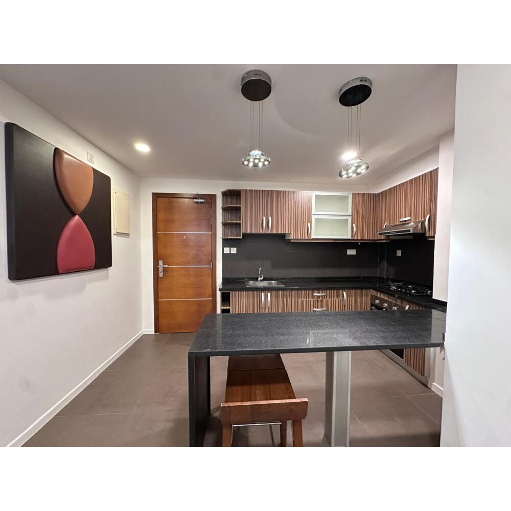 1 Bedroom Spacious Luxury Apartment - Fully Furnished - USD 1200 — Malé — Machchangolhi