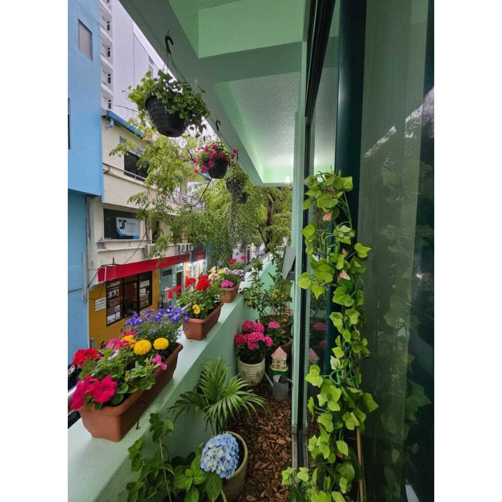 Two Room Apartment next to Galolhu School mvr 25,000 — Malé — Galolhu