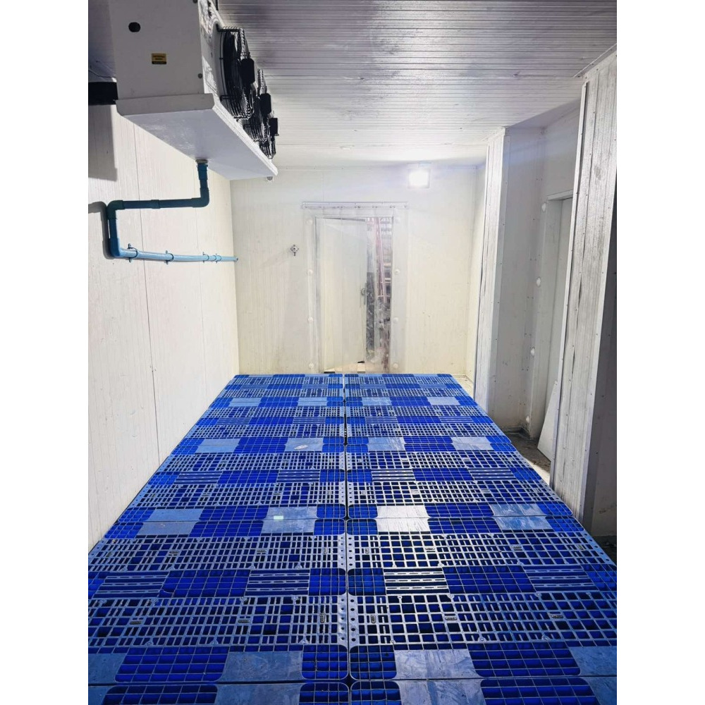 COLD STORAGE FACILITY FOR RENT MALE' CITY — Malé — Galolhu