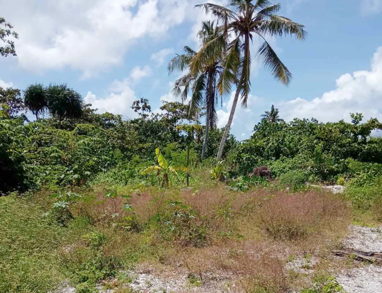Land Plot for Rent (IS 122) — Addu City