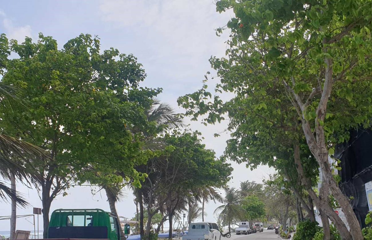 Office/Commercial Spaces for Lease (HM 126) — Hulhumalé