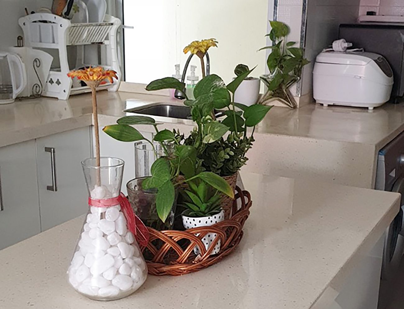 Fully Furnished 2 BR for Rent (HM 203) — Hulhumalé